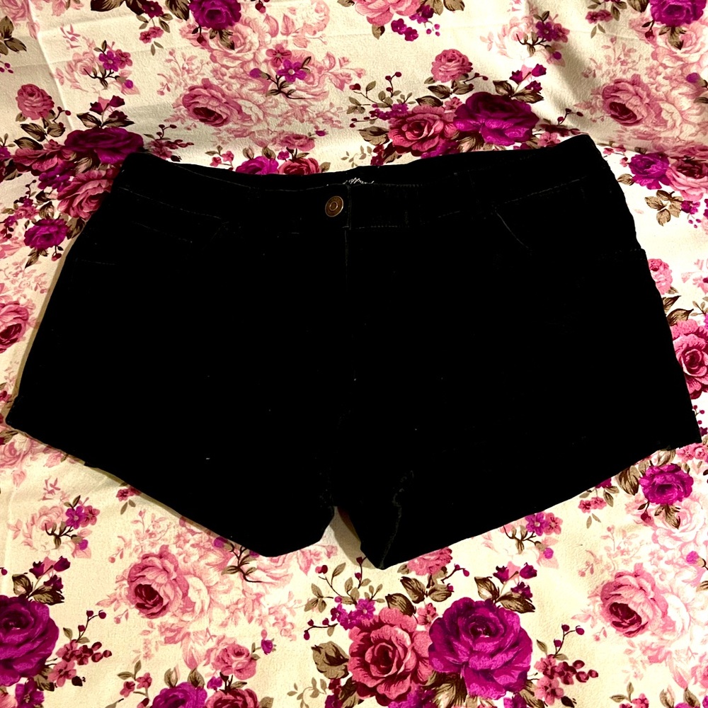 Ambiance Apparel Shorts